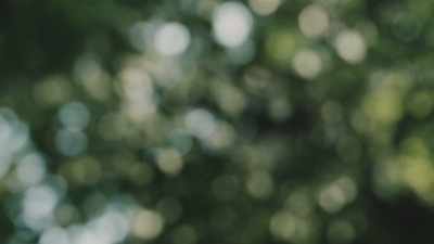 I don't recall actually when either
that the sounds had returned. - Missing 411: The Hunted