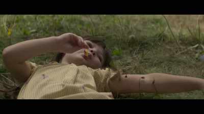 I don't remember much more. - Fever Dream