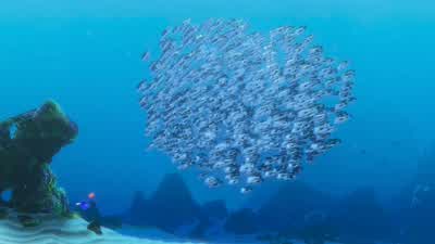 - I don't remember. - Finding Nemo