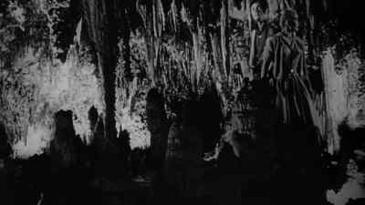 I don't see
any daylight. - Earth vs. the Spider