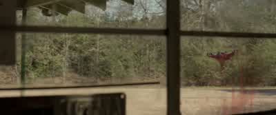 I don't see anybody inside. - The Hunt