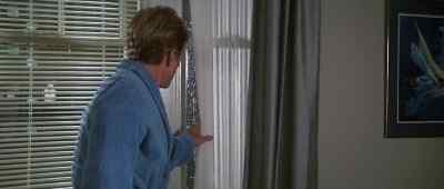 I don't see anybody. - Legal Eagles