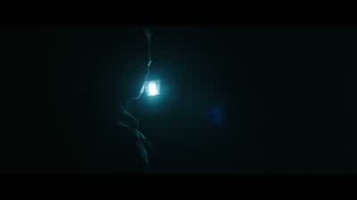 I don't see anybody. - Insidious: Chapter 2