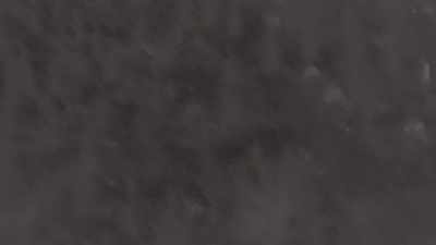 I don't see anything
that really captures - Expedition Bigfoot