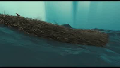 - I don't see her anywhere. - Ice Age: The Meltdown