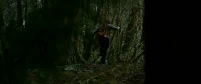 I don't see Edward anymore. - The Twilight Saga: New Moon