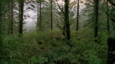 I don't see it. - The X-Files