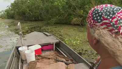 I don't see no hook hanging. - Swamp People