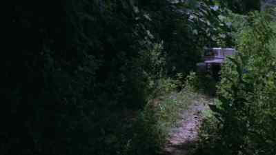 I don't see the animals. - Gold of the Amazon Women