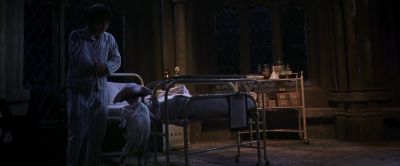 I don't suppose you could tell me why you're trying to kill me - Harry Potter and the Chamber of Secrets