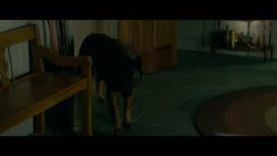 I don't suppose you're a rescue dog. - Gerald's Game