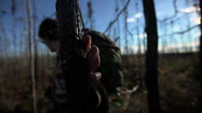 I don't think animals like
to come through this - Life Below Zero: Next Generation
