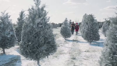 -I don't think I can.
-I'll do it independently. - Christmas in Pine Valley