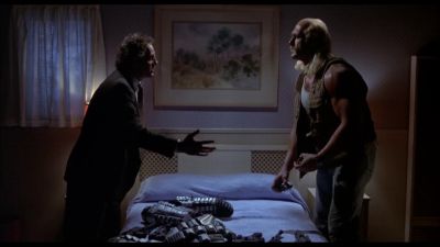 I don't think so Look I'm just your landlord - Suburban Commando