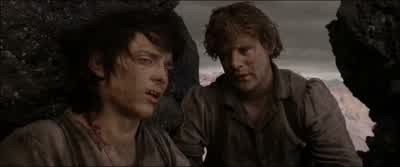 I don't think there will be a return journey Mr Frodo - The Lord of the Rings: The Return of the King
