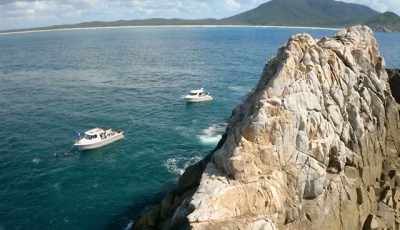 I don't think there's anyone
out there who knows these - Shark Beach With Chris Hemsworth