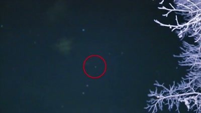 I don't think they're coming
from some other far place. - Beyond Skinwalker Ranch