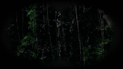 I don't think they're coming. - Lost