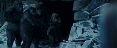 I don't think he understands. - War for the Planet of the Apes