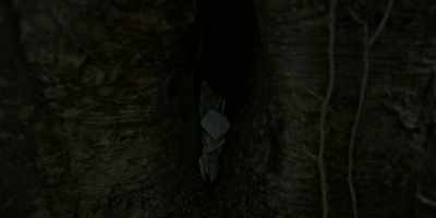 I don't understand it in here.
Next time, I'll keep up. - Dublin Murders