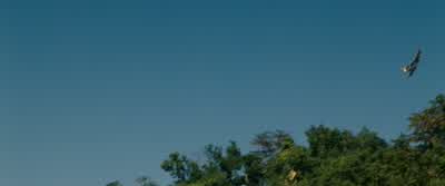 I don't understand. - Knight and Day