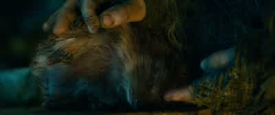 I don't understand why it's not workingIt's not as if it's witchcraftWitchcraftOh but it isA dark and powerful magic - The Hobbit: An Unexpected Journey