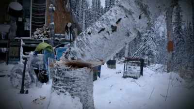 I don't want a
repeat of that 'cause, - Life Below Zero: Next Generation