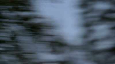 I don't want to be
caught out here without
predator protection. - Life Below Zero: Next Generation