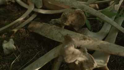 I don't want to get
into it or too close, - Expedition Bigfoot