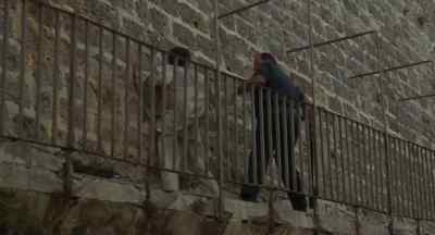 I don't want to go to a sanatorium! - Midnight Express