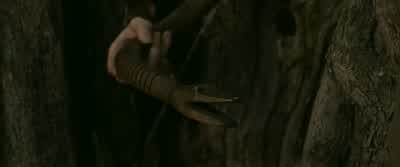 I don't want it. - The Carpenter's Son
