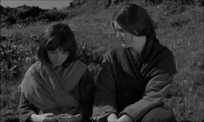 I don't want to see - The Juniper Tree