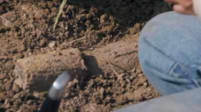 I DON'T WANT TO
DESTABILIZE IT, - Dino Hunters