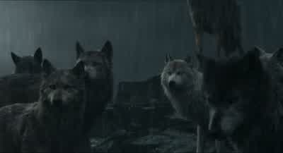 I don't want to see anyone get hurt. - The Jungle Book