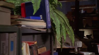 I was down in the basement scanning
archive photos into the database - Smallville