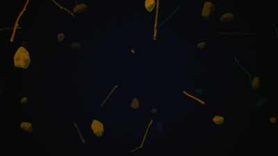 ♪ I was dreaming
When I wrote this ♪ - Dave Chappelle: Sticks &amp; Stones