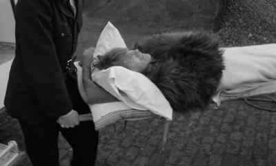 I dreamt I was dead. - Morgan!