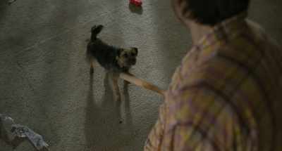 I drove you three hours away. - Strays