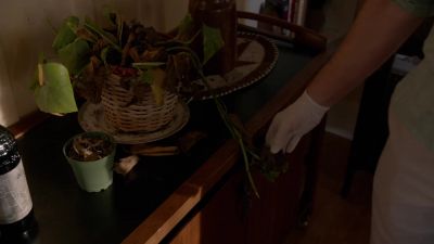Either Sussman lost his green thumb
or he hasn't been here in a while. - Dexter