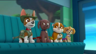 Escucharron. Did anyone else hear that? - PAW Patrol