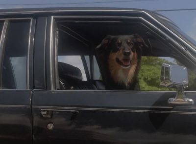- [Esther] Oh, no.
-  [Man Singing] - Miami Vice