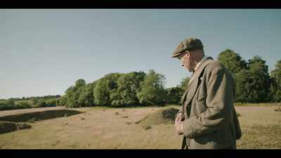 I expect you might be better off with… - The Dig