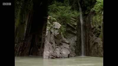 I expected the Pongo to be
dangerous, but never - Michael Palin: Travels of a Lifetime
