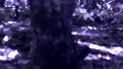 I was facing the other direction,
watching the cabin, watching our backs. - Murder Mountain