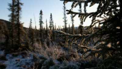 I feel like I
belong to this, uh, - Life Below Zero: Next Generation