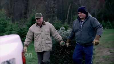 I feel like this ridiculous feud - The Spruces and the Pines