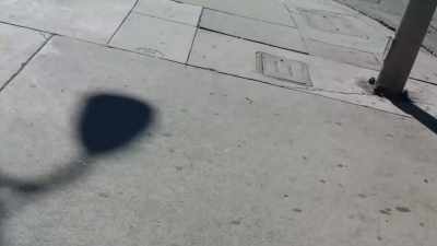 I feel like there are two factions - Murder Death Koreatown