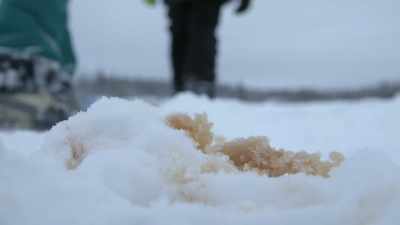 I feel like if we
can pact this down, - Life Below Zero: Next Generation