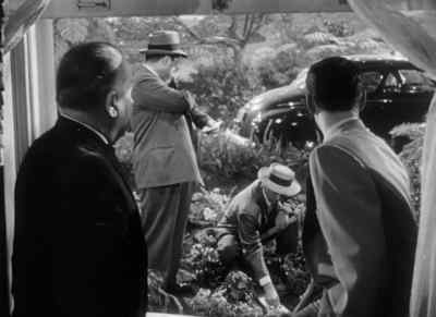 I feel sorry. - The File on Thelma Jordon