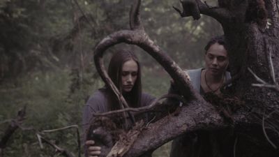 - I feel stupid.
It's a dead tree. - The Sinner